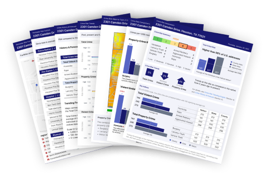 security gauge sample report